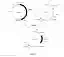 Fig. 03 - Herbicide-resistant protein, encoding gene and use thereof