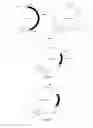 Fig. 06 - Herbicide-resistant protein, encoding gene and use thereof