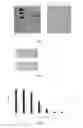 Fig. 08 - NOVEL PROTEINS AND DETECTION METHODS