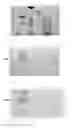 Fig. 11 - NOVEL PROTEINS AND DETECTION METHODS