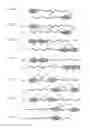 Fig. 02 - Extended recombinant polypeptides and compositions comprising same