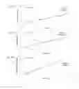 Fig. 28 - Extended recombinant polypeptides and compositions comprising same