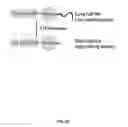 Fig. 40 - Extended recombinant polypeptides and compositions comprising same