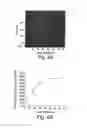 Fig. 05 - BH3 peptides and methods of use thereof