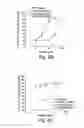 Fig. 09 - BH3 peptides and methods of use thereof