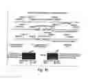 Fig. 15 - BH3 peptides and methods of use thereof