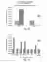 Fig. 18 - BH3 peptides and methods of use thereof