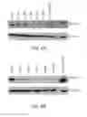 Fig. 12 - EPHA3 and multi-valent targeting of tumors