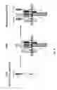 Fig. 04 - Compositions and methods for TCR reprogramming using fusion proteins