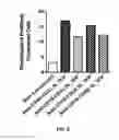 Fig. 07 - Compositions and methods for TCR reprogramming using fusion proteins