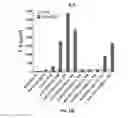 Fig. 24 - Compositions and methods for TCR reprogramming using fusion proteins