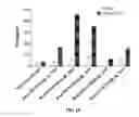 Fig. 26 - Compositions and methods for TCR reprogramming using fusion proteins