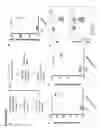 Fig. 05 - Modified monocytes/macrophage expressing chimeric antigen receptors and uses thereof