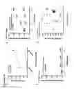 Fig. 09 - Modified monocytes/macrophage expressing chimeric antigen receptors and uses thereof