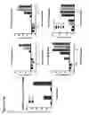 Fig. 14 - Modified monocytes/macrophage expressing chimeric antigen receptors and uses thereof