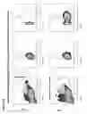 Fig. 18 - Modified monocytes/macrophage expressing chimeric antigen receptors and uses thereof