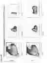 Fig. 19 - Modified monocytes/macrophage expressing chimeric antigen receptors and uses thereof