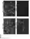 Fig. 33 - Modified monocytes/macrophage expressing chimeric antigen receptors and uses thereof