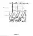 Fig. 03 - Single-chain CD27-receptor agonist proteins