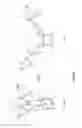Fig. 07 - Single-chain CD27-receptor agonist proteins