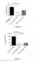 Fig. 11 - Single-chain CD27-receptor agonist proteins
