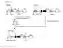 Fig. 07 - Human serum albumin mutant