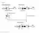 Fig. 12 - Human serum albumin mutant