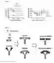 Fig. 05 - Tetra-specific, octameric binding agents and antibodies against toxin A and toxin B for treatment of  infection