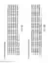 Fig. 08 - Dual PDGF/VEGF antagonists