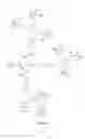 Fig. 27 - Dual PDGF/VEGF antagonists