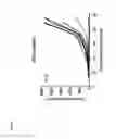 Fig. 15 - Anti-TGF-β antibodies and their use