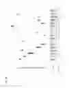 Fig. 30 - Anti-TGF-β antibodies and their use