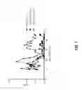 Fig. 08 - Polynucleotides encoding anti-CXCL13 antibodies