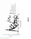 Fig. 09 - Polynucleotides encoding anti-CXCL13 antibodies