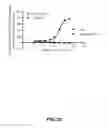 Fig. 21 - Polynucleotides encoding anti-CXCL13 antibodies