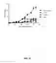 Fig. 28 - Polynucleotides encoding anti-CXCL13 antibodies