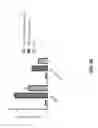 Fig. 29 - Polynucleotides encoding anti-CXCL13 antibodies