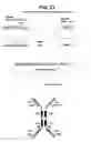 Fig. 23 - Methods of making heavy chain only antibodies using transgenic animals