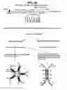 Fig. 27 - Methods of making heavy chain only antibodies using transgenic animals