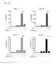 Fig. 24 - P2X7 receptor antagonists and agonists