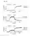 Fig. 27 - P2X7 receptor antagonists and agonists