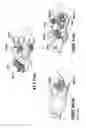 Fig. 08 - Anti-siglec-7 antibodies and methods of use thereof