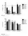 Fig. 28 - Anti-siglec-7 antibodies and methods of use thereof