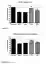 Fig. 58 - Anti-siglec-7 antibodies and methods of use thereof
