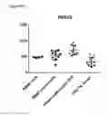 Fig. 07 - Anti-PVRIG antibodies and methods of use