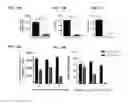 Fig. 17 - Anti-PVRIG antibodies and methods of use