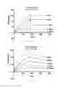 Fig. 20 - Antibody to human and mouse SEMA3A and use thereof