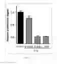 Fig. 27 - Antibody to human and mouse SEMA3A and use thereof
