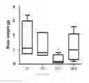 Fig. 29 - Antibody to human and mouse SEMA3A and use thereof