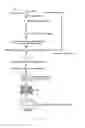 Fig. 02 - Antibody to human and mouse Sema3A and use thereof